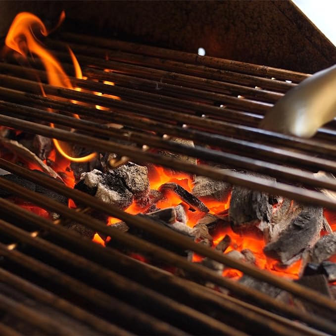 Lion Charcoal Tray