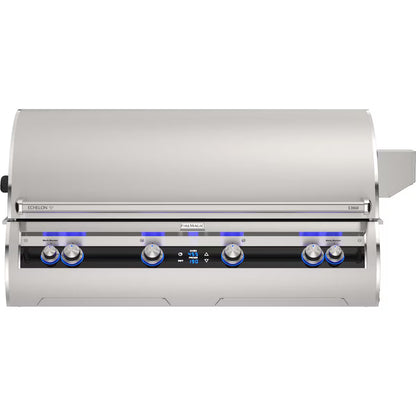 Fire Magic Echelon Diamond E1060i 48-Inch Built-In Propane/Natural Gas Grill w/ Rotisserie & Thermometer