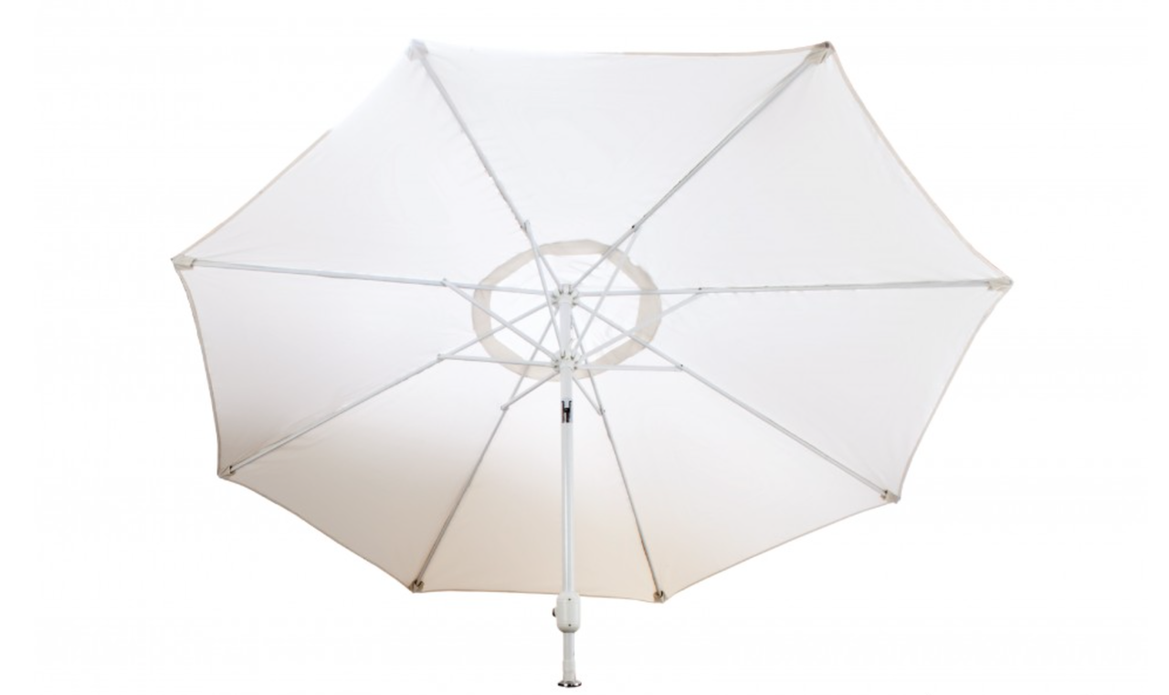 Lion Umbrella 9'