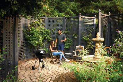 Napoleon Premium 18 Charcoal Kettle 18-inch Kettle Grill