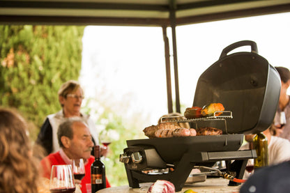 Napoleon TravelQ™ PRO285 Portable Gas Grill