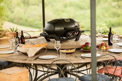 Napoleon TravelQ™ PRO285 Portable Gas Grill