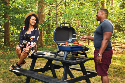 Napoleon TravelQ™ 240 Portable Gas Grill