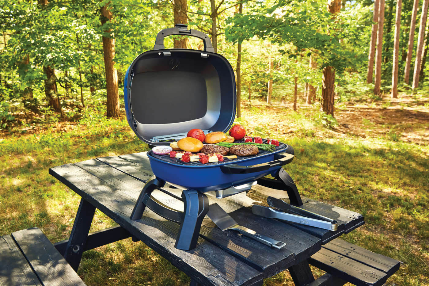 Napoleon TravelQ™ 240 Portable Gas Grill