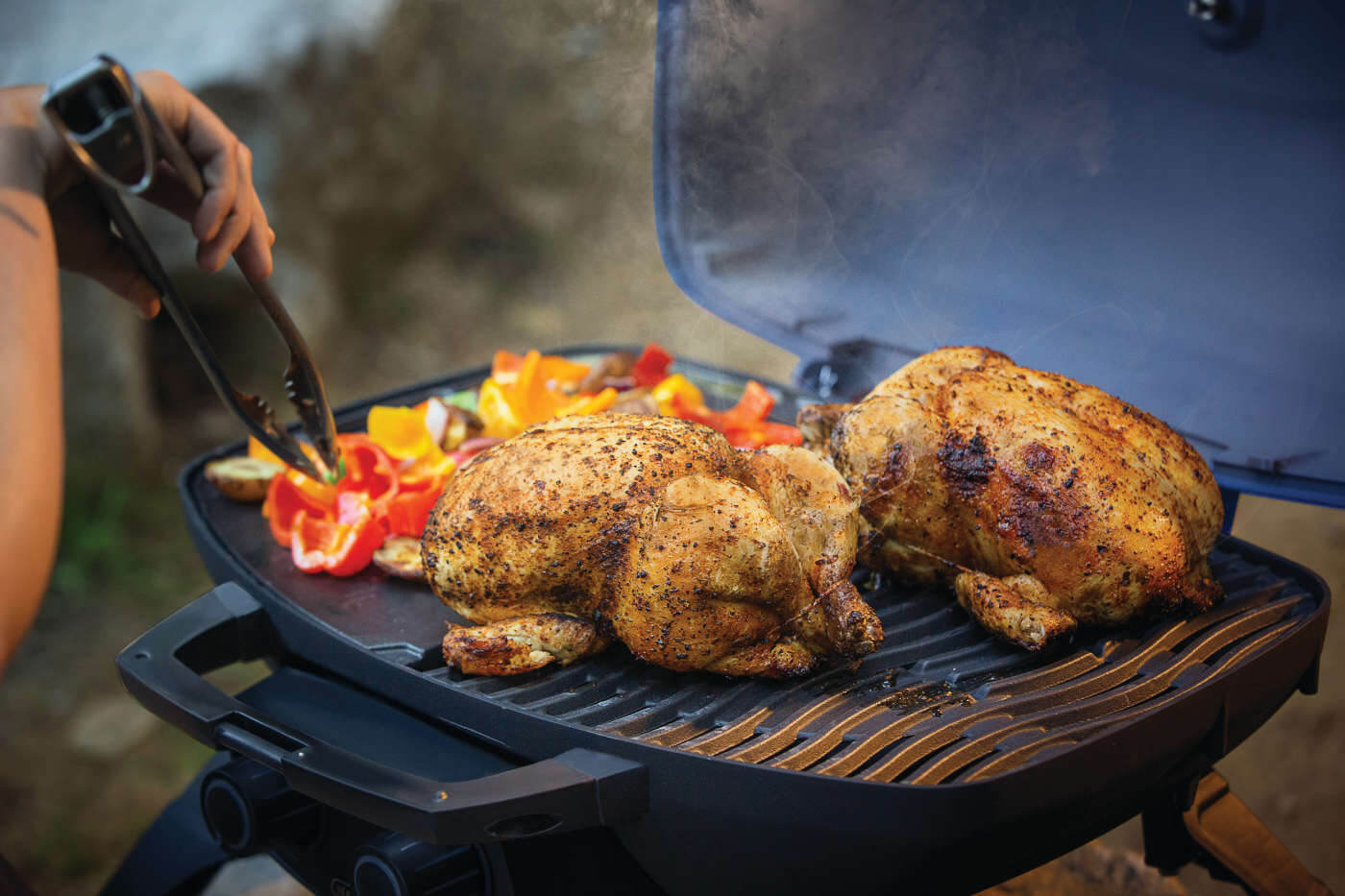 Napoleon TravelQ™ 285 Portable Gas Grill