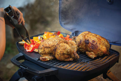 Napoleon TravelQ™ 285 Portable Gas Grill