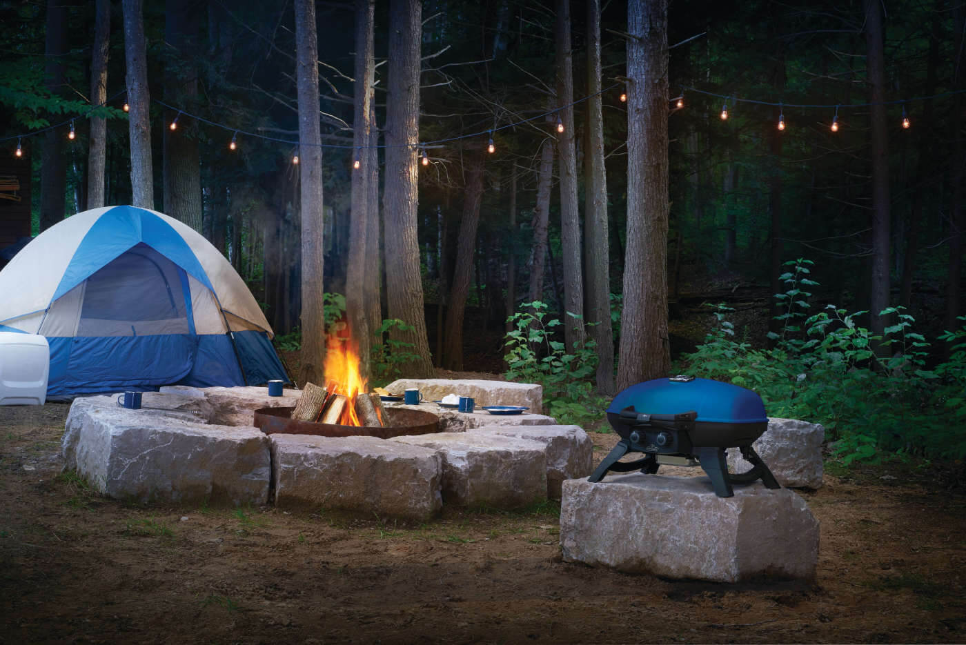 Napoleon TravelQ™ 285 Portable Gas Grill