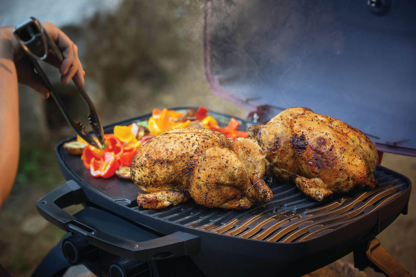 Napoleon TravelQ™ 285 with Griddle