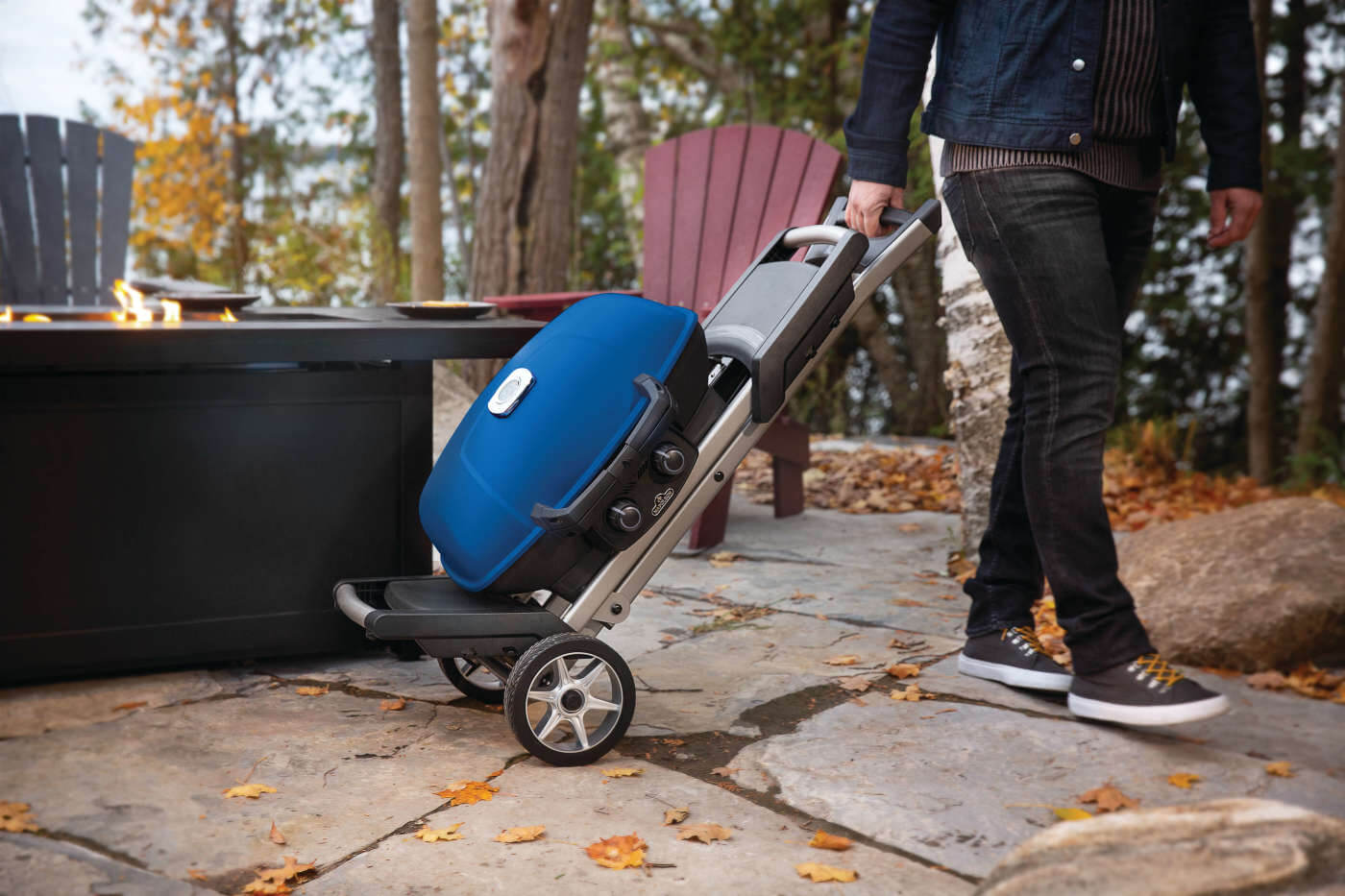 Napoleon TravelQ™ 285X with Scissor Cart