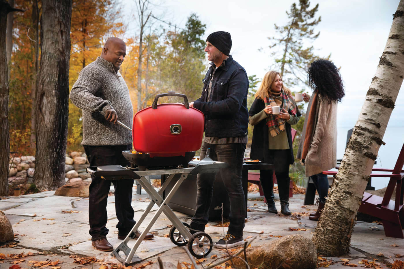 Napoleon TravelQ™ 285X with Scissor Cart and Griddle