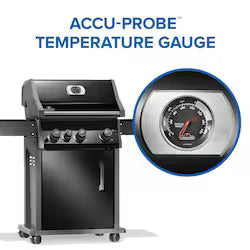 Rogue® 425 SB with Range Side Burner