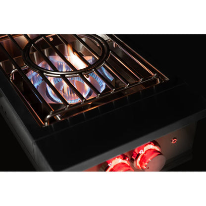 TrueFlame Power Burner - TFPB